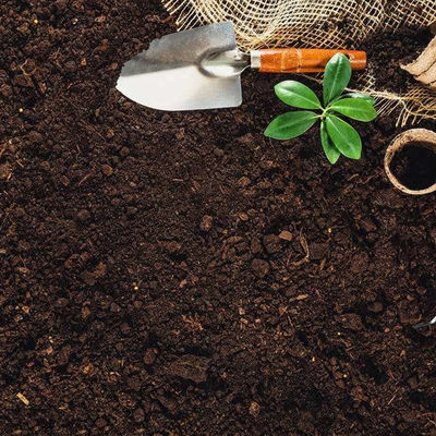 Negócio agrícola dos testes de laboratório do solo para o serviço de autenticação da terceira da certificação global da venda