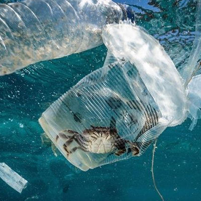 Da autoridade biológica da contaminação da educação do laboratório de testes do Ul do solo e da água serviço de autenticação da terceira