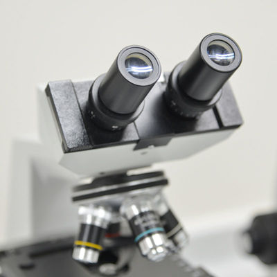 Serviços da terceira dos testes e de autenticação do negócio SAA RCM dos laboratórios de testes da eletrônica do microscópio de elétron