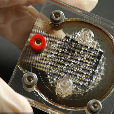 Serviços da terceira dos testes e de autenticação dos LPS SELV da compatibilidade eletrónica das empresas dos laboratórios de testes da eletrônica do equipamento do Reverberator