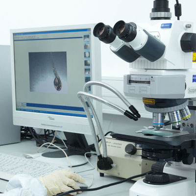 A certificação do laboratório do CE do Iso presta serviços de manutenção ao serviço de autenticação da terceira da lâmina elétrica de GTS