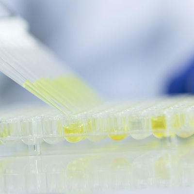 O Fda dos serviços de laboratórios dos testes do vidro do alimento acreditou o serviço de autenticação da terceira dos laboratórios